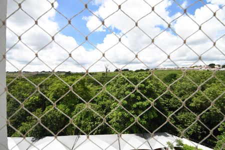 Sala - Vista de apartamento para alugar com 2 quartos, 50m² em Jardim Myrian Moreira da Costa, Campinas
