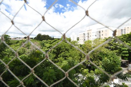 Apartamento para alugar com 50m², 2 quartos e 1 vagaÁrea de Serviço - Vista