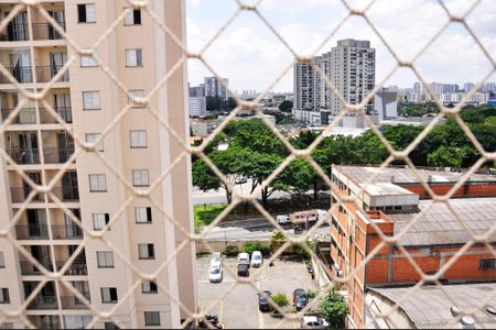 Apartamento para alugar com 67m², 3 quartos e 1 vaga Apartamento para alugar com 67m², 3 quartos e 1 vagaDetalhe - Vista do Quarto 03