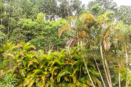 Casa de condomínio à venda com 488m², 4 quartos e 4 vagasVista da Suíte