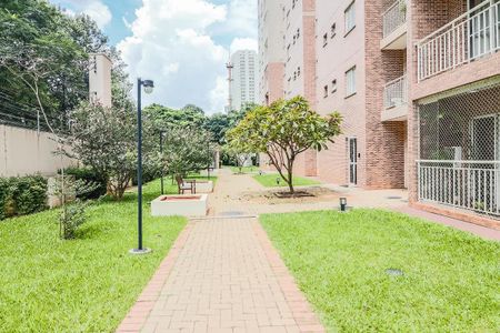 Apartamento para alugar com 53m², 2 quartos e 1 vaga Apartamento para alugar com 53m², 2 quartos e 1 vagaÁrea comum
