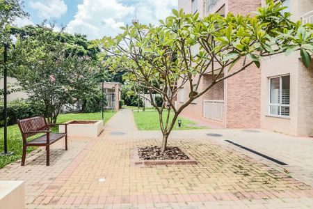 Apartamento para alugar com 53m², 2 quartos e 1 vaga Apartamento para alugar com 53m², 2 quartos e 1 vagaÁrea comum