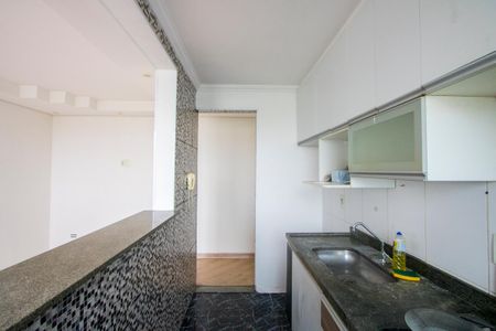 Apartamento para alugar com 45m², 2 quartos e 2 vagasCozinha