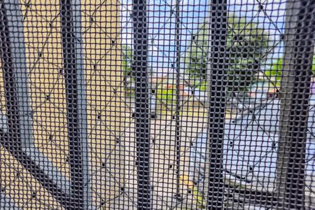 Vista da Sala de apartamento para alugar com 2 quartos, 53m² em Vila Alto de Santo Andre, Santo André