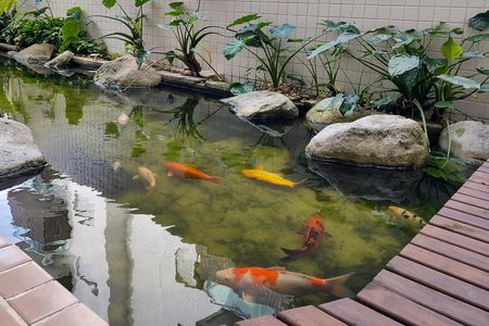 Apartamento para alugar com 69m², 2 quartos e 2 vagas Apartamento para alugar com 69m², 2 quartos e 2 vagasLago de carpas - área comum