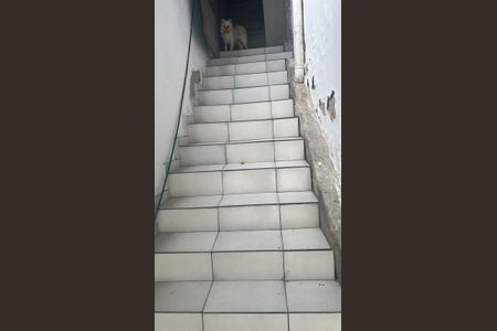 Area externa de casa para alugar com 1 quarto, 60m² em Jardim Bela Vista, Mauá