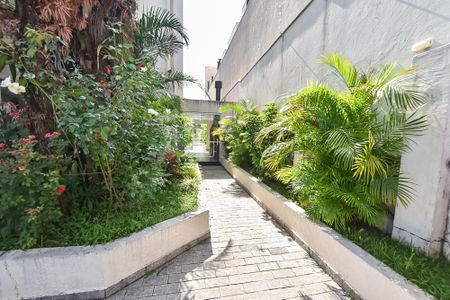 Apartamento para alugar com 55m², 1 quarto e 1 vagaÁrea comum