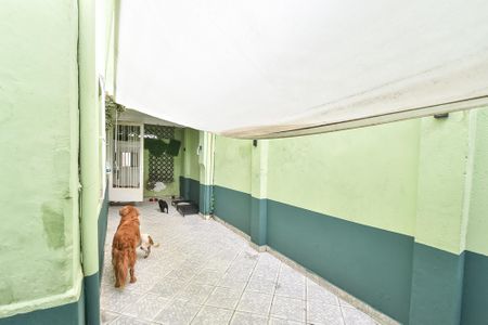 Casa para alugar com 350m², 3 quartos e 1 vagaQuintal