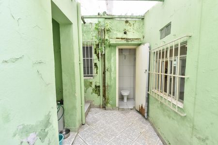Casa para alugar com 350m², 3 quartos e 1 vagaQuintal