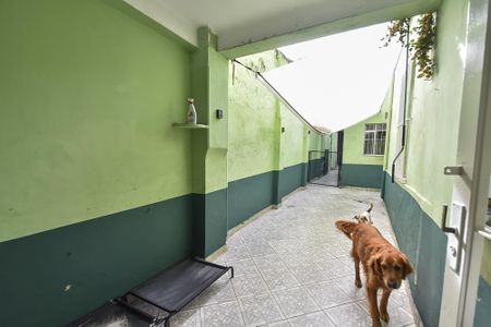 Casa para alugar com 350m², 3 quartos e 1 vagaQuintal