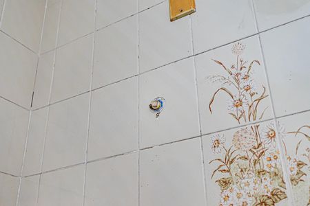 Casa para alugar com 63m², 1 quarto e 2 vagas Casa para alugar com 63m², 1 quarto e 2 vagasBanheiro serviço