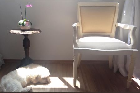 Apartamento à venda com 70m², 2 quartos e 1 vagaFoto 07