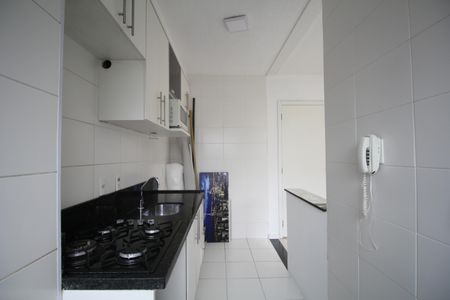 Apartamento para alugar com 43m², 2 quartos e 1 vagaCozinha - Armários