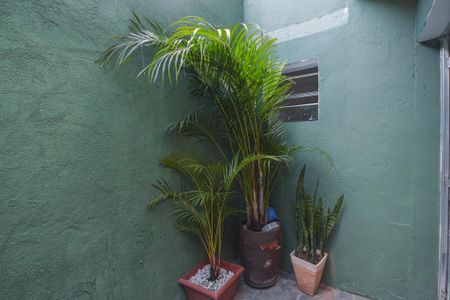 Casa para alugar com 52m², 1 quarto e sem vagaÁrea comum