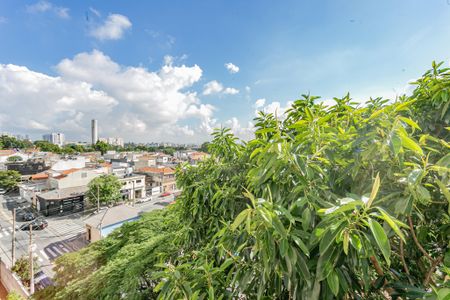 Vista de apartamento para alugar com 2 quartos, 52m² em Vila Liviero, São Paulo