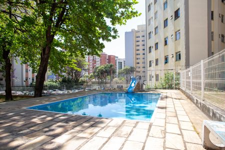 Apartamento para alugar com 67m², 2 quartos e 1 vaga Apartamento para alugar com 67m², 2 quartos e 1 vagaÁrea comum - Piscina
