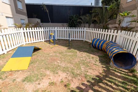 Apartamento para alugar com 33m², 2 quartos e sem vaga Apartamento para alugar com 33m², 2 quartos e sem vagaÁrea comum - Pet Place