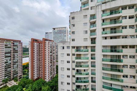 Apartamento para alugar com 37m², 1 quarto e 1 vagaVista da Varanda