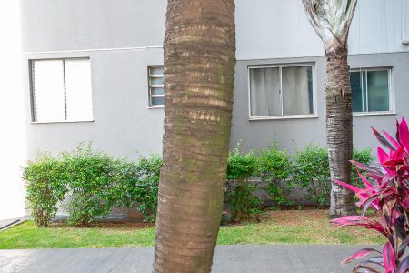 Vista Sala de apartamento para alugar com 2 quartos, 55m² em Jardim America Ii, Americana