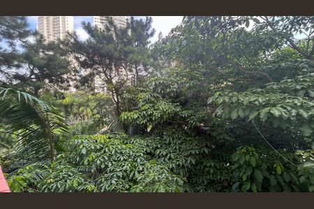 Apartamento à venda com 72m², 3 quartos e 1 vagaVista Quarto 1