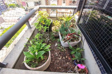 Apartamento para alugar com 266m², 4 quartos e 3 vagas Apartamento para alugar com 266m², 4 quartos e 3 vagasJardim