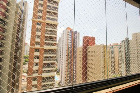 Apartamento para alugar com 266m², 4 quartos e 3 vagas Apartamento para alugar com 266m², 4 quartos e 3 vagasVista da Varanda da Sala