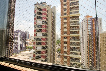 Apartamento para alugar com 266m², 4 quartos e 3 vagas Apartamento para alugar com 266m², 4 quartos e 3 vagasVista da Varanda da Sala