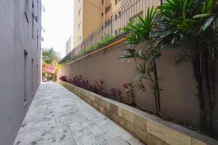 Studio para alugar com 25m², 1 quarto e sem vagaÁrea Comum