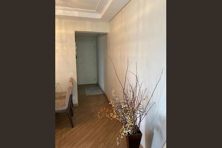 Apartamento à venda com 3 quartos, 82m² em Vila Amélia, São Paulo