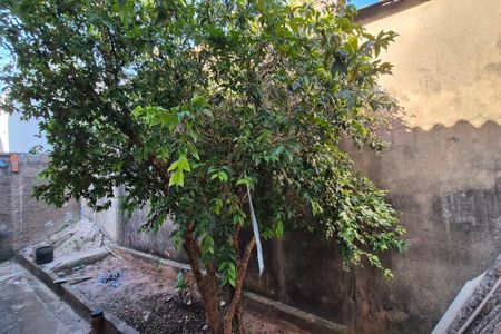 Casa à venda com 400m², 4 quartos e 2 vagas Casa à venda com 400m², 4 quartos e 2 vagasVista do Quarto 3