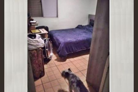 Apartamento à venda com 3 quartos, 75m² em Freguesia do Ó, São Paulo