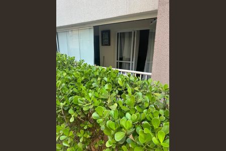 Apartamento à venda com 2 quartos, 53m² em Vila Siqueira (Zona Norte), São Paulo