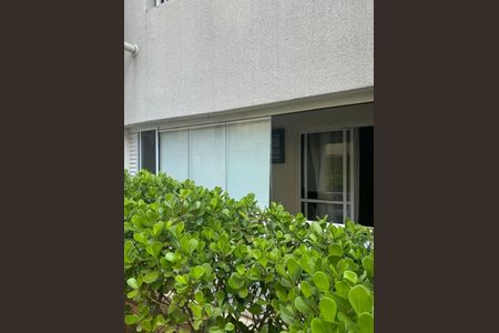 Apartamento à venda com 2 quartos, 53m² em Vila Siqueira (Zona Norte), São Paulo