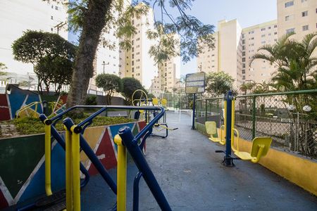 Apartamento para alugar com 62m², 3 quartos e 1 vagaginastica aberta_2