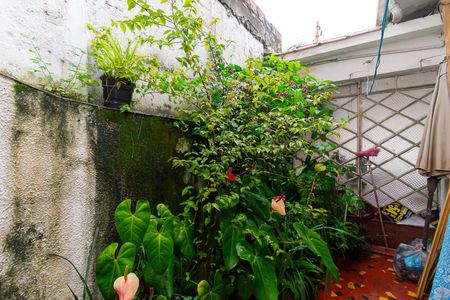 Casa para alugar com 156m², 3 quartos e 1 vaga Casa para alugar com 156m², 3 quartos e 1 vagaQuintal