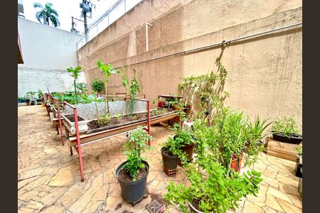 Apartamento para alugar com 70m², 2 quartos e 1 vagaHorta 