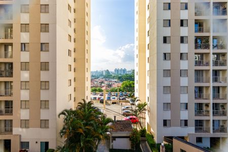 Apartamento à venda com 3 quartos, 65m² em Vila Morumbi, São Paulo