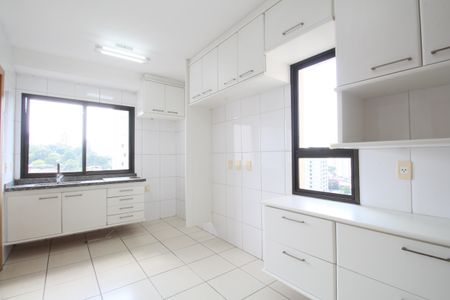 Apartamento para alugar com 110m², 3 quartos e 2 vagasCozinha - Armários