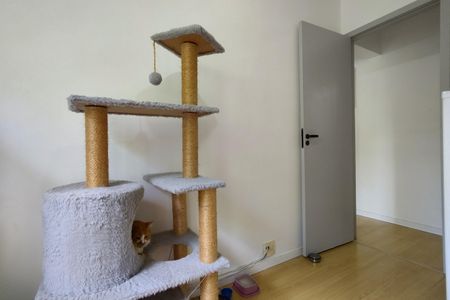 Apartamento à venda com 75m², 3 quartos e 1 vaga Apartamento à venda com 75m², 3 quartos e 1 vagaQuarto 1 - Armários
