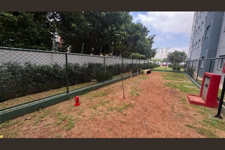 Apartamento para alugar com 35m², 2 quartos e 1 vagaArea Pet