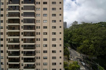 Apartamento à venda com 245m², 3 quartos e 5 vagasVista Sala de Jantar