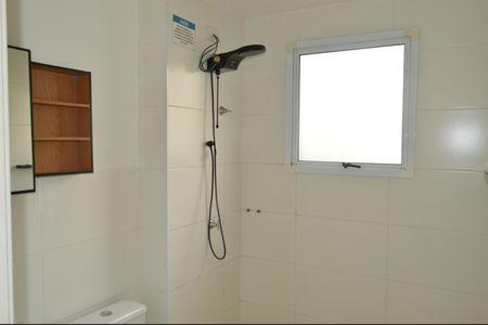 Banheiro de apartamento para alugar com 2 quartos, 46m² em Valentina Figueiredo, Ribeirão Preto