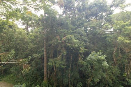 Apartamento para alugar com 164m², 3 quartos e 3 vagas Apartamento para alugar com 164m², 3 quartos e 3 vagasVista da Varanda da Área de Serviço