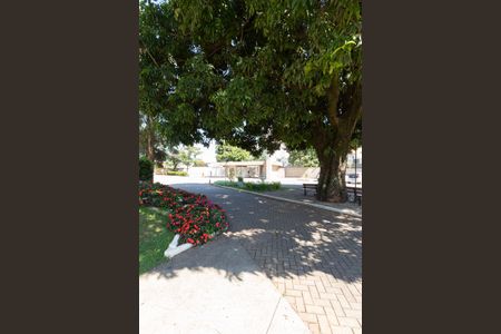 Apartamento para alugar com 63m², 2 quartos e 1 vagaÁrea comum