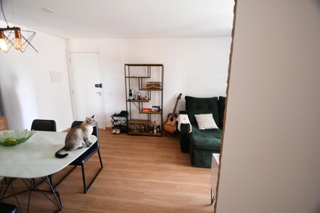 Sala de apartamento para alugar com 3 quartos, 77m² em Taquaral, Campinas