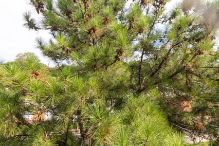 Apartamento para alugar com 62m², 2 quartos e 1 vagaVista do Quarto 02