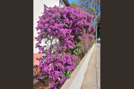 Apartamento à venda com 57m², 2 quartos e 1 vagaÁrea externa