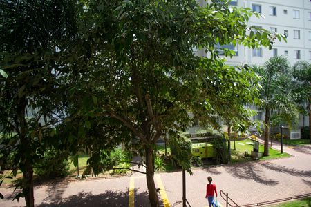 Vista da Sala de apartamento à venda com 2 quartos, 50m² em Jardim Iris, São Paulo
