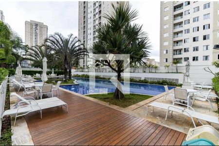 Área comum - Piscina de apartamento à venda com 3 quartos, 74m² em Vila Vera, São Paulo