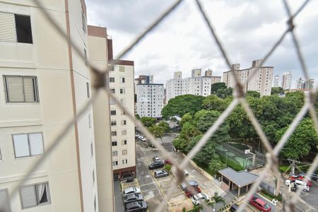 Apartamento à venda com 71m², 3 quartos e 1 vaga Apartamento à venda com 71m², 3 quartos e 1 vagaVista do quarto 1